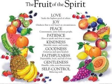 Faithfulness Fruit for Christmas 1 post26