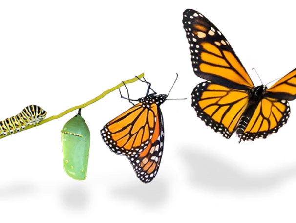 Transformation 6 post7